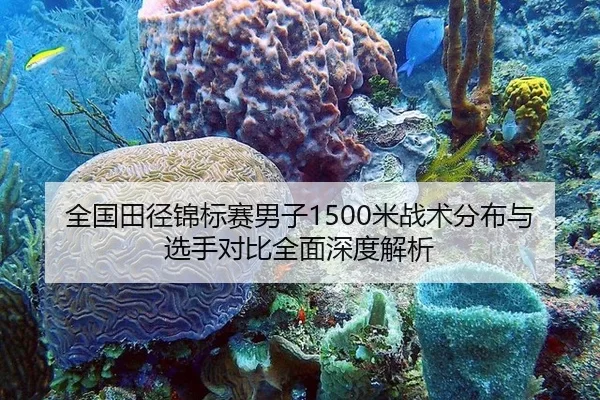 全国田径锦标赛男子1500米战术分布与选手对比全面深度解析