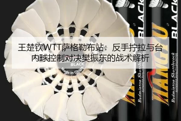 wang-chu-qin-sa-ge-lei-bu-zhan-fan-shou-ning-la-yu-tai-nei-qiu-kong-zhi-dui-jue-fan-zhen-dong-de-zhan-shu-jie-xi-2-855.jpg